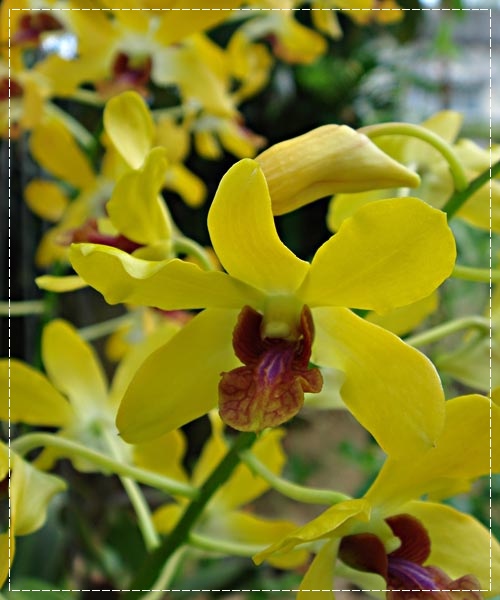 My Image 4