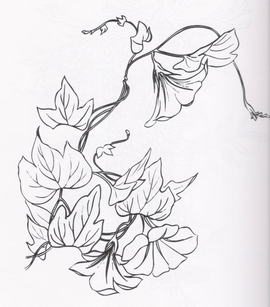 My Image 62