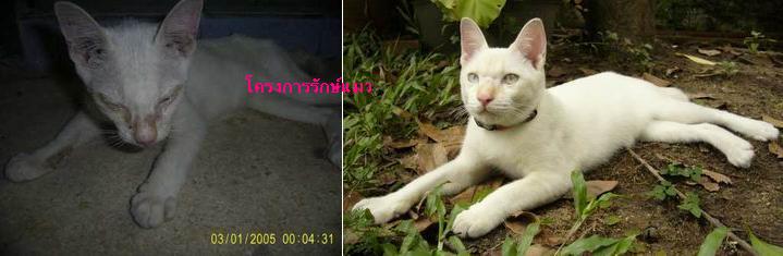 Bloggang 