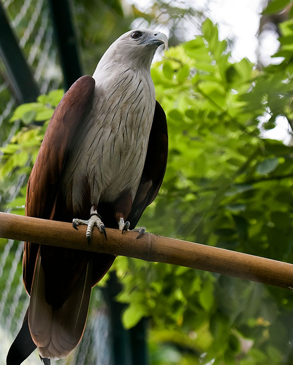 My Image 4