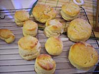  My Mother in law Biscuits