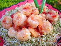   Alfalfa Sprout with shrimps Salad