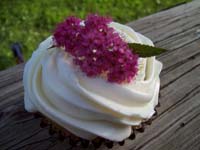  Green Tea CupCakes