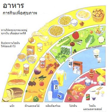 อาหารหลัก 5 หมู่