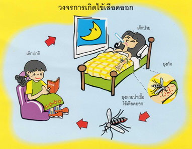 วงจรไข้เลือดออก