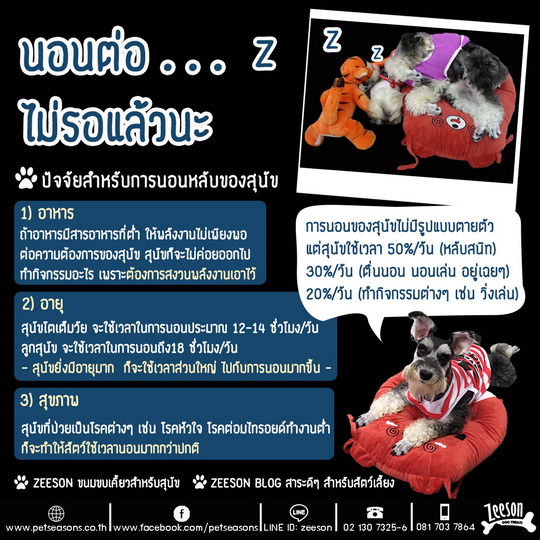 My Image 28